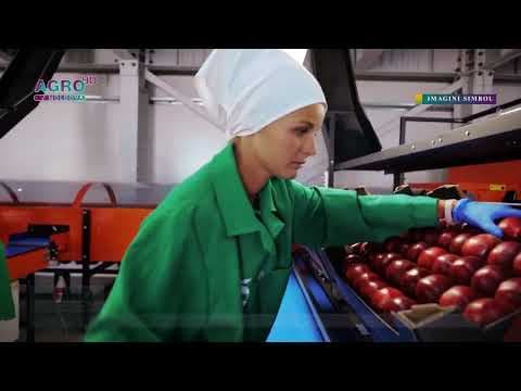 Oficial! Vom exporta mai multe produse agricole în UE, fără taxe