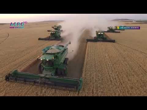 Cotația grâului a revenit la nivelul de dinaintea războiului