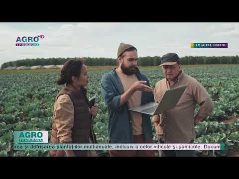 Bani pentru start-up-uri în agricultură. Când se depun dosarele?