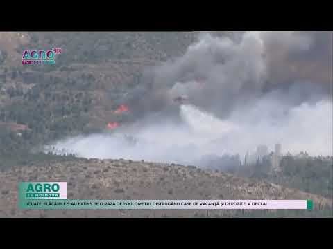 Grecia se confruntă cu un nou incendiu de vegetație izbucnit în sudul Atenei