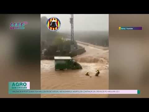 Inundații devastatoare în Spania: pierderi masive în agricultură și 95 de vieți pierdute