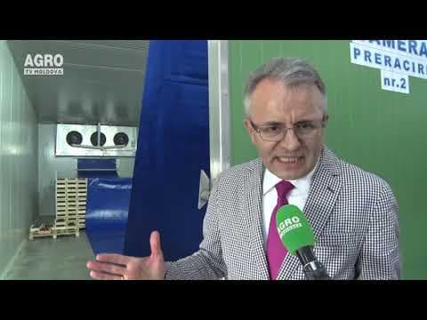 Cerințe de calitate la recoltarea și post recolta căpșunului și zmeurului