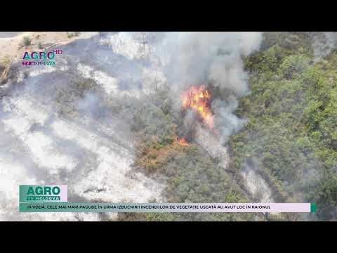 Incendiile de vegetație au distrus peste 120 de hectare de teren în câteva raioane