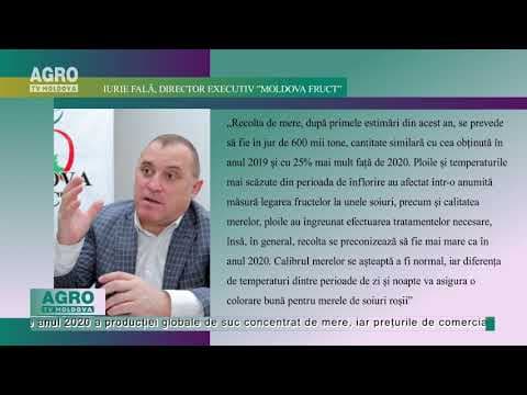 Mai multe mere în acest an, dar unde le vindem?