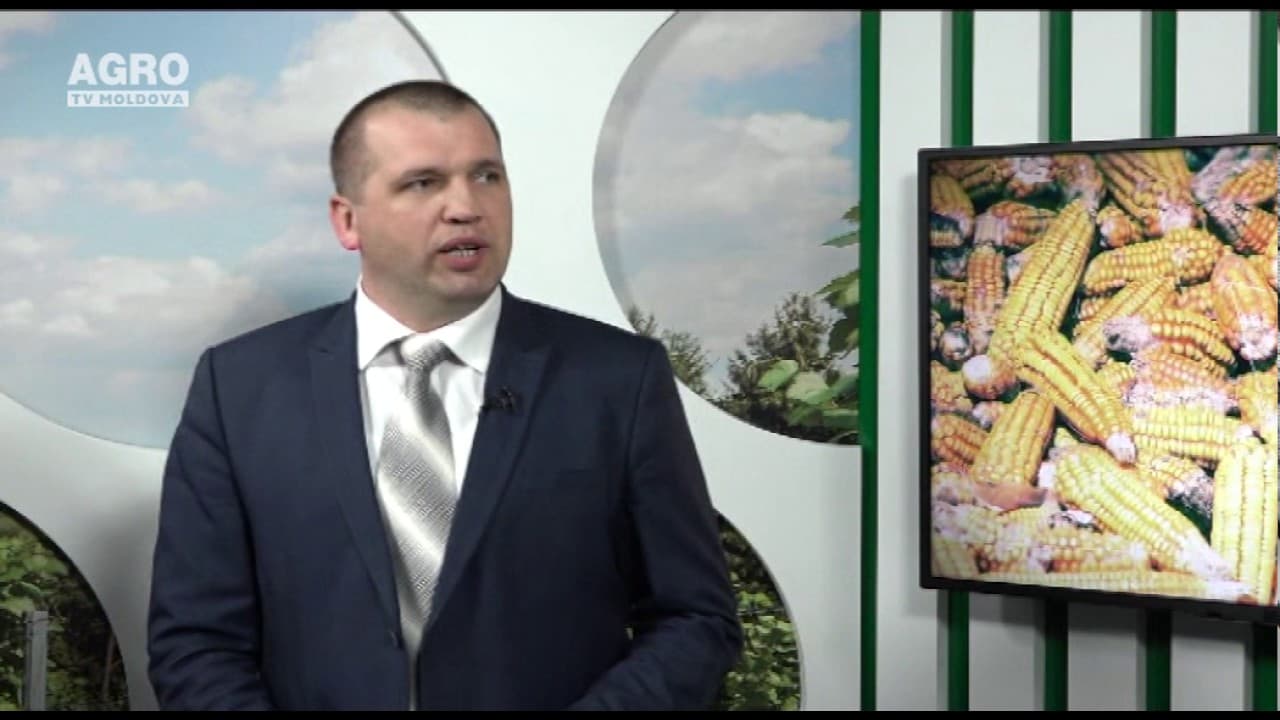 Înghețurile de primăvară, cauzele și măsurile de protecție. INVITAȚI: Vasile Șarban și Ghenadie Roșca