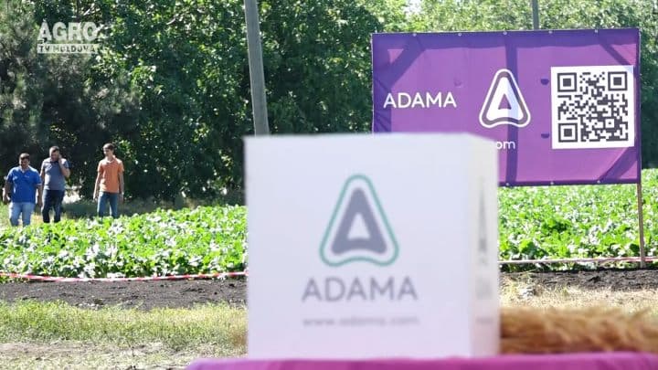 ADAMA la 25 de ani de activitate