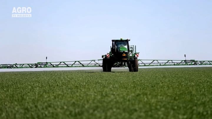 Protecția culturilor de cereale și a celor tehnice cu soluțiile BASF
