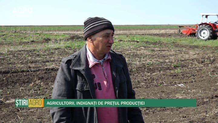 Agricultorii, indignați de prețul producției