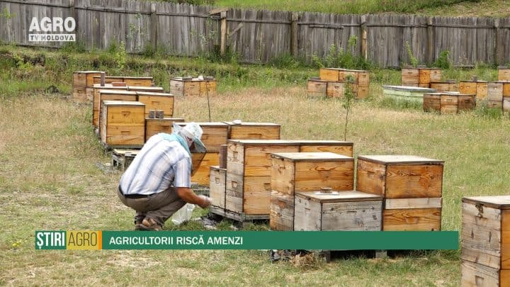 Agricultorii riscă amenzi