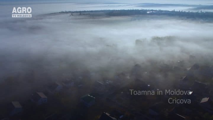 AgroTV Toamna – Cricova