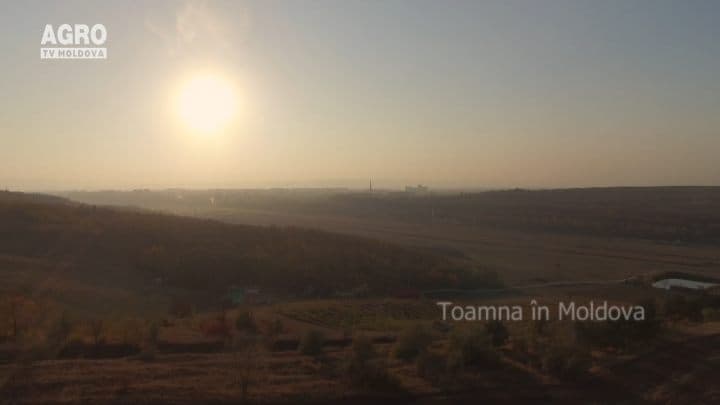 AgroTV Toamna – Mănoilești