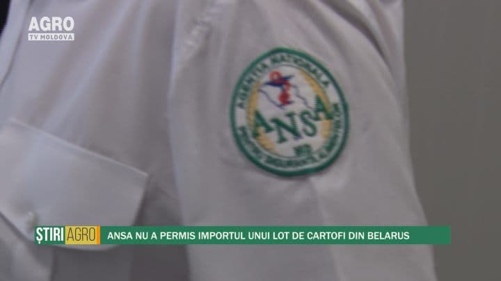ANSA nu a permis importul unui lot de cartofi din Belarus