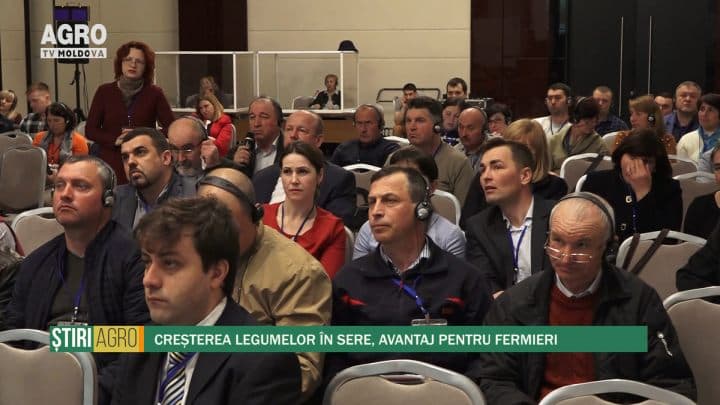 Creșterea legumelor în sere, avantaj pentru fermieri
