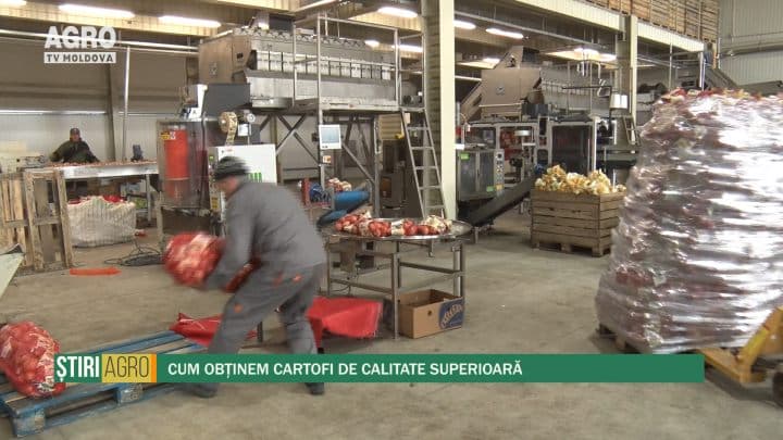 Cum obținem cartofi de calitate superioară