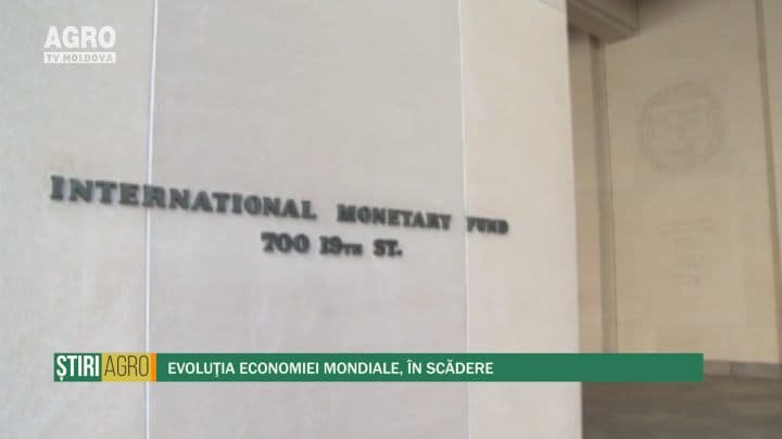 Evoluţia economiei mondiale, în scădere