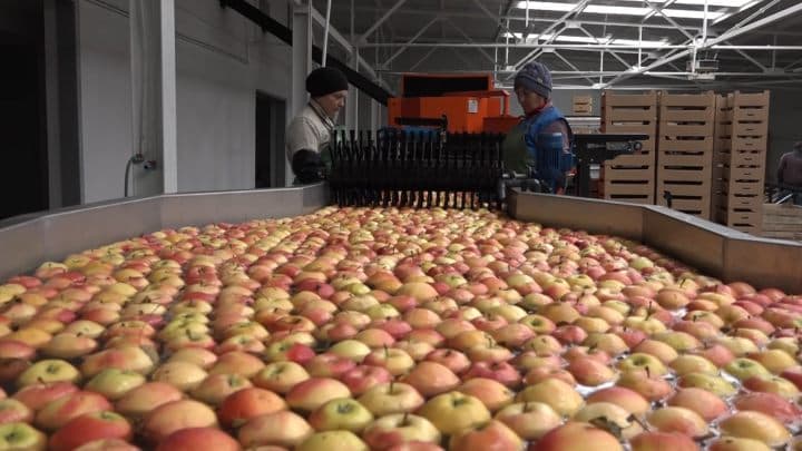 Cooperarea în agricultură – o necesitate