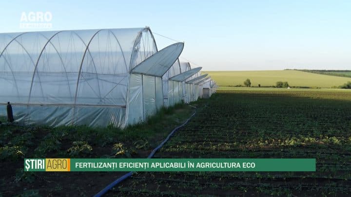 Fertilizanți eficienți aplicabili în agricultura eco