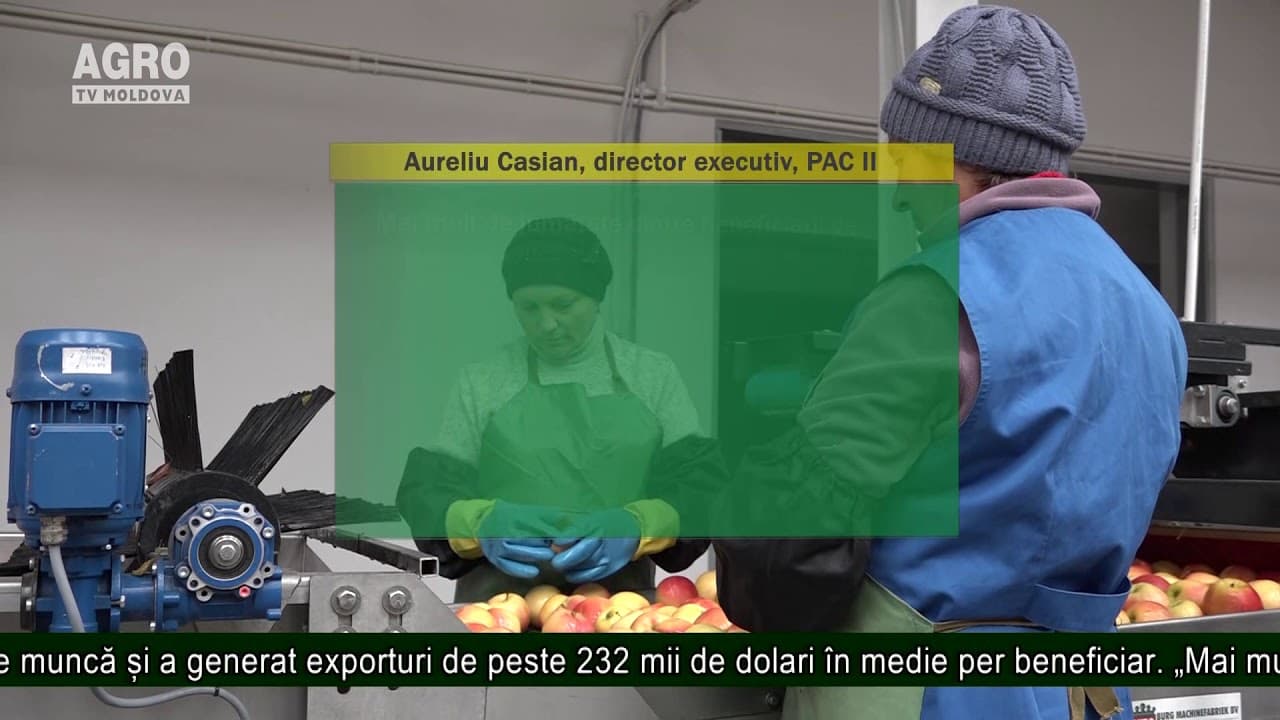 Granturi în valoare de până la 200 de mii de lei