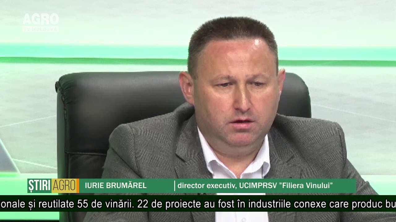 Sectorul vitivinicol – reformat din rădăcini