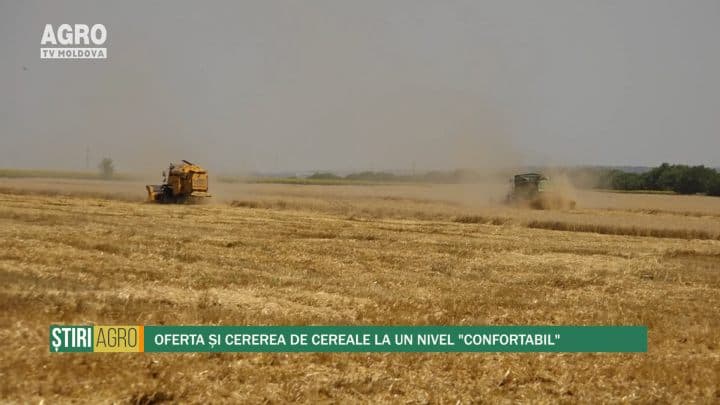 Oferta și cererea de cereale la un nivel „confortabil”
