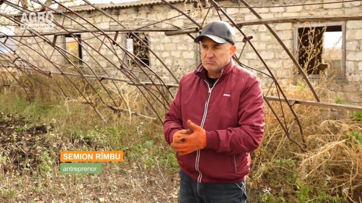 Cătina albă – o afacere de milioane