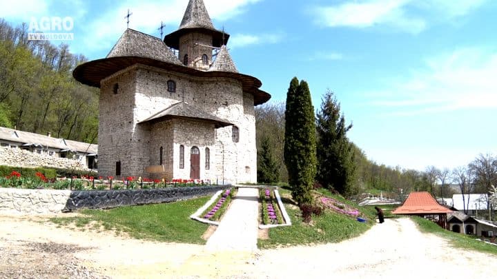 Mănăstirea Rudi