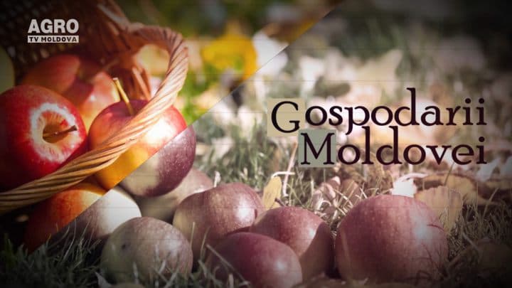 Retrospectiva Gospodarii Moldovei