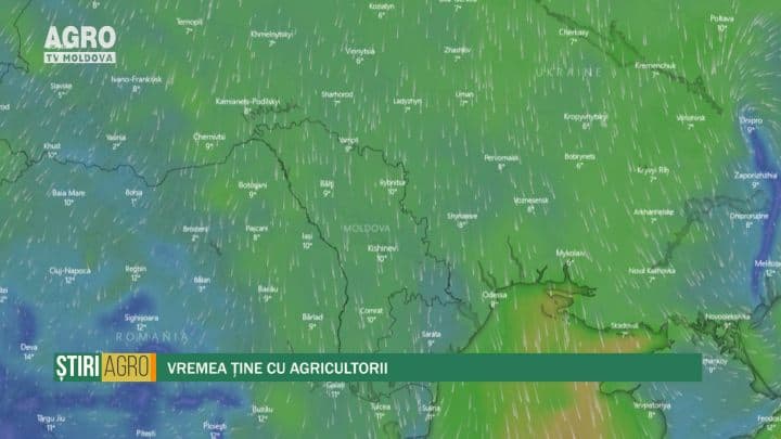 Vremea ține cu agricultorii