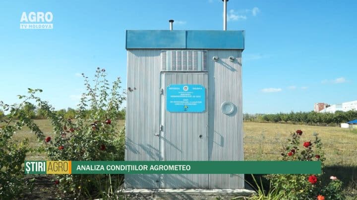 Analiza condițiilor agrometeo