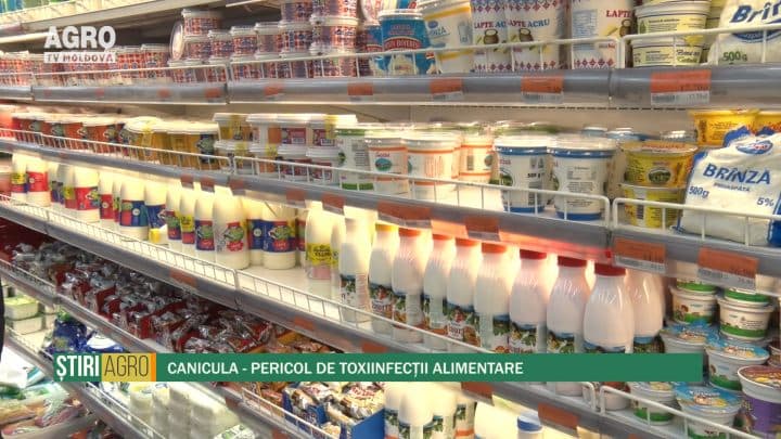 Canicula – Pericol de toxiinfecții alimentare