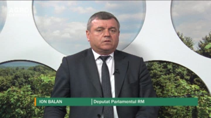 Care pot fie efectele contrafacerii masive a materialului săditor și semincer. INVITAT: Ion Balan, membru al Comisiei parlamentare pentru Agricultură și Industrie Alimentară.
