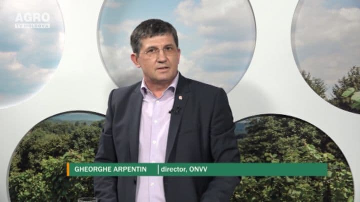Vinurile moldovenești continuă să revină pe piața rusească. INVITAT: Gheorghe Arpentin, director al Oficiului Național al Viei și Vinului.