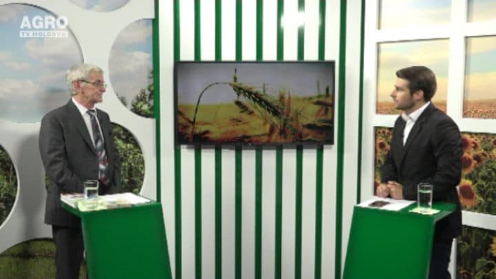 Cultivarea ciupercilor ca idee de afacere. INVITAT: Vladimir Andrieș, șeful Laboratorului Ştiinţific Aplicativ pentru Legume, Flori şi Ciuperci