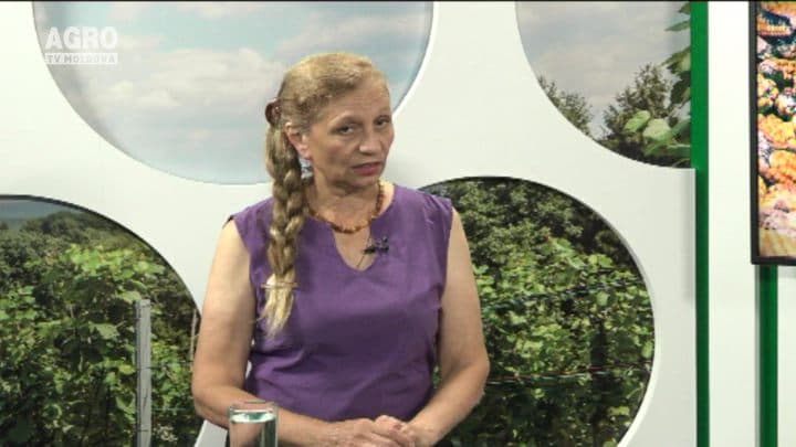 Profitul pe care îl pot aduce plantațiile de pomușoare. INVITATĂ: Parascovia Sava, președinta Asociației Producătorilor de Pomușoare „BACIFERA”