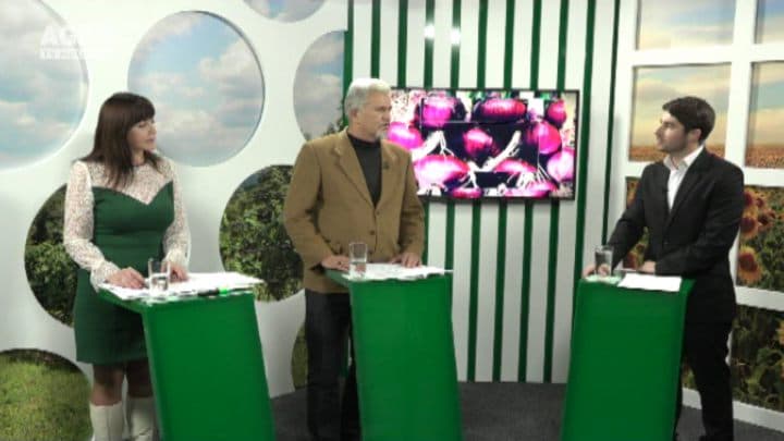 18.12 2015 Dialog cu Dorin Galben.Se va majora sau nu prețul la pâine?