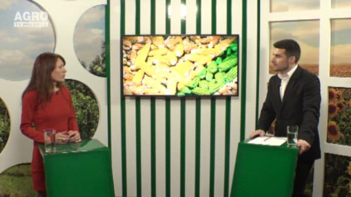 Cât ne costă alimentația sănătoasă? INVITAT: Stela Babii Fetescu, antreprenoare autohtonă
