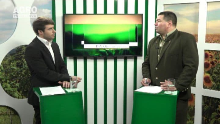 23.12 2015 Dialog cu Dorin Galben,Afacere cu brazi în preajma sărbătorilor de iarnă