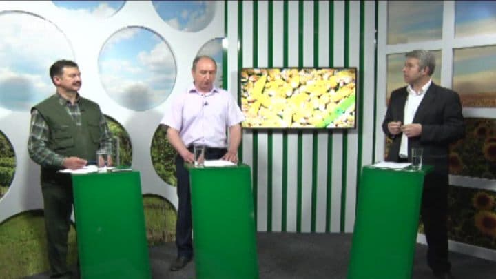 Cât de eficientă este comunicarea dintre silvicultori și apicultori? INVITAȚI: Gheorghe Manic, vice-președintele Asociației Apicultorilor din Republica Moldova, și Valeriu Caisîn, vice-director al Institutului de Cercetări Aplicate în Silvicultură.