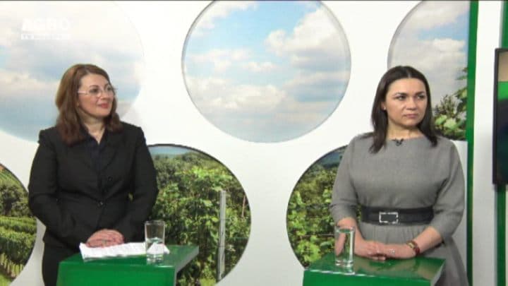 Probleme și soluții pentru producătorii de lactate în anul 2017. INVITAȚI: Carolina Linte, președinta Asociației Producătorilor și Procesatorilor de Lapte din Republica Moldova; Tatiana Nistorică, șefa Direcției Politici de Producție, procesare, reglement