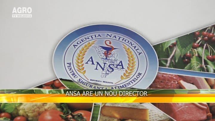 ANSA are un nou director