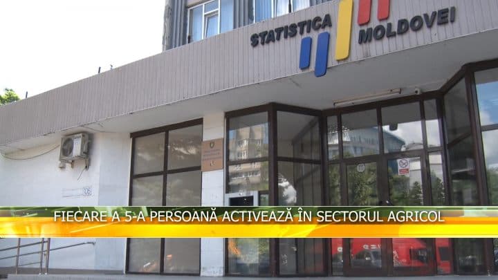 Fiecare a 5-a persoană activează în sectorul agricol