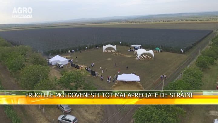 Fructele moldovenești tot mai apreciate de străini