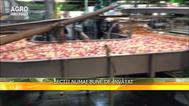 Lecții numai bune de învățat