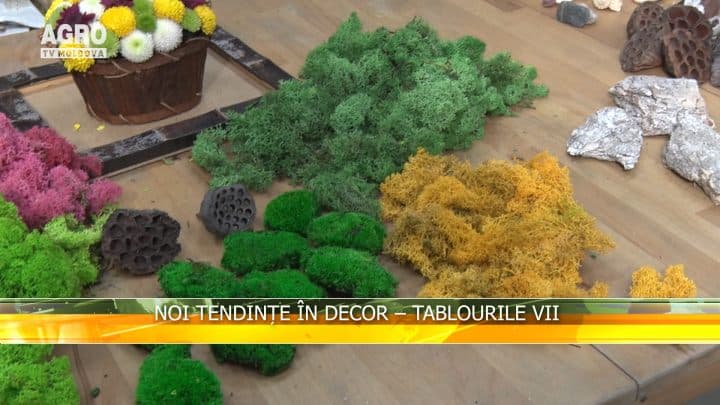 Noi tendințe în decor – tablourile vii