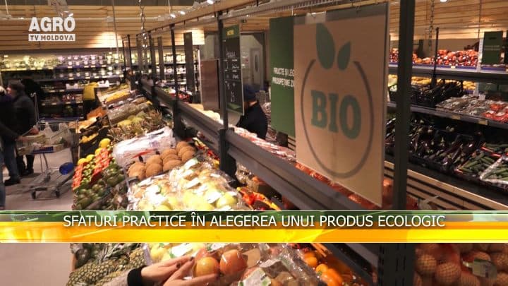 Sfaturi practice în alegerea unui produs ecologic