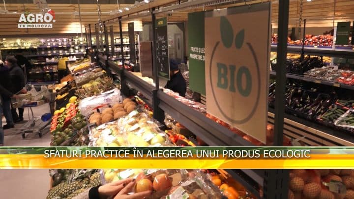 Sfaturi practice în alegerea unui produs ecologic
