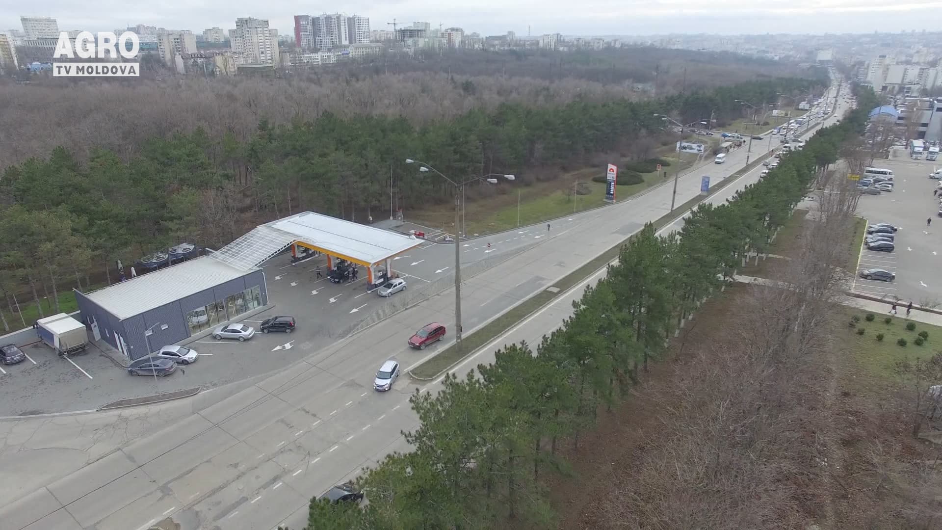 Comercializarea semințelor și pesticidelor, deblocată