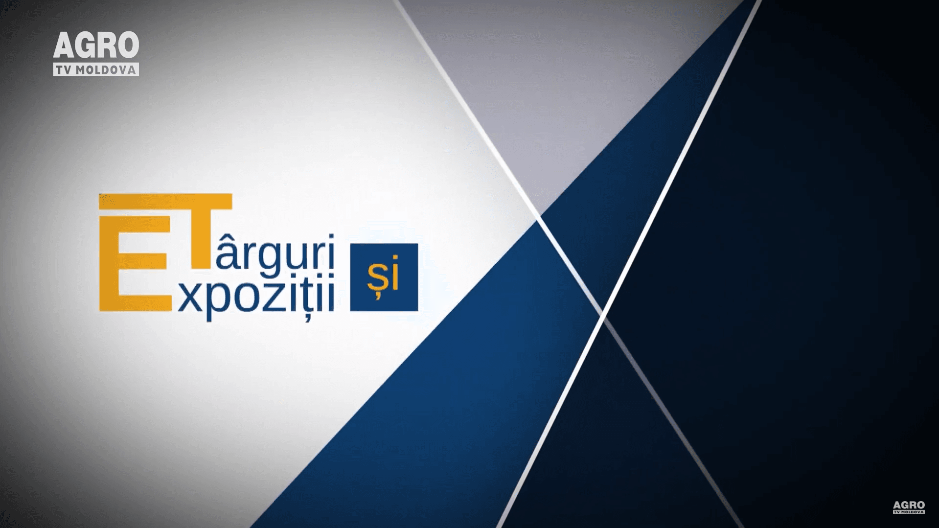 Târguri și expoziții