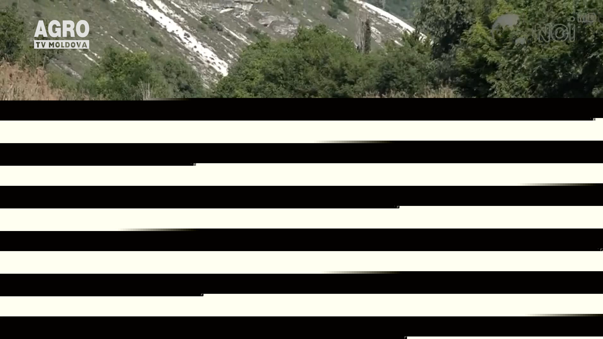 Suprafața afectată de secetă, în scădere