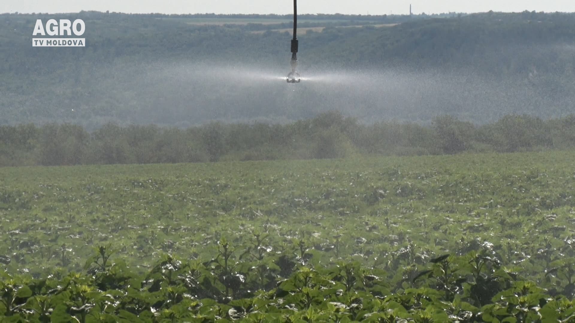 Irigarea cu ape subterane – o aventură periculoasă